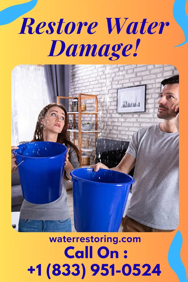 water restoration National Water Removal Experts Landisville